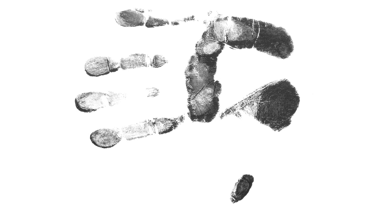 Palm Strike — Three-factor biometric authentication system.